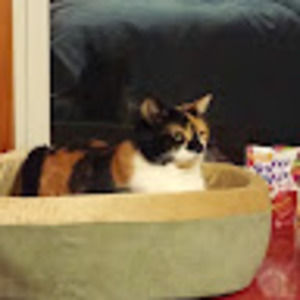 Meet your Posher, Mandy